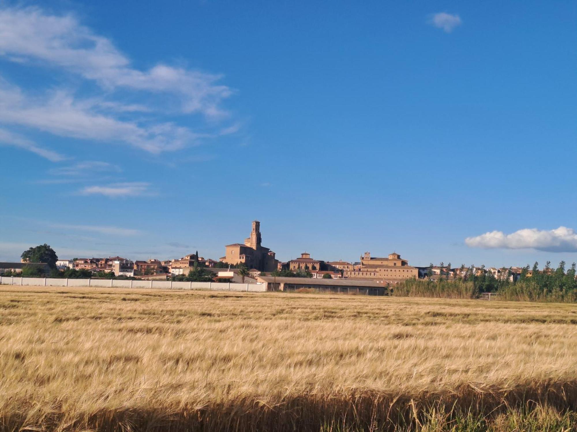 Apartamento Rural Las Canas Esencia De Bardenas Villafranca Esterno foto
